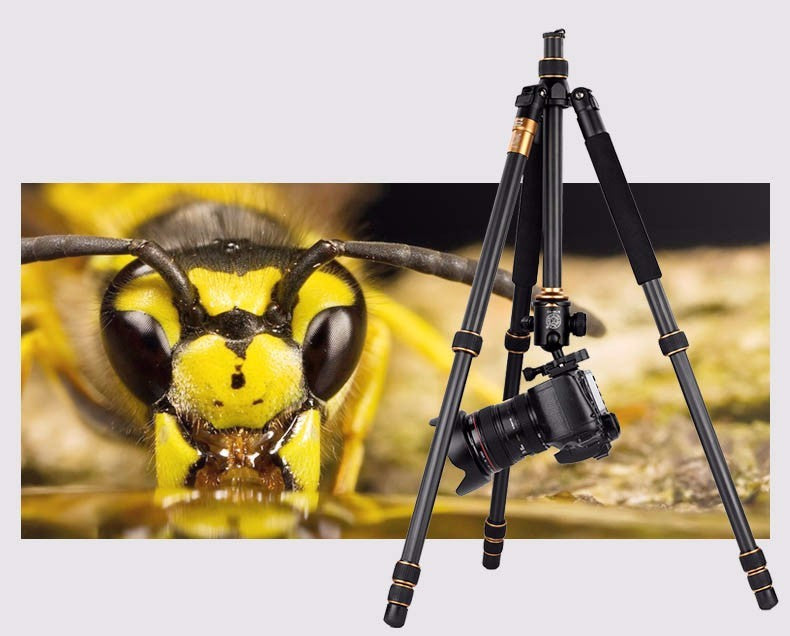 Professional Travel Tripod from Carbon Fiber with ballhead you can turn into monopod for D/SLR Cameras